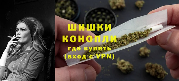 spice Гусев