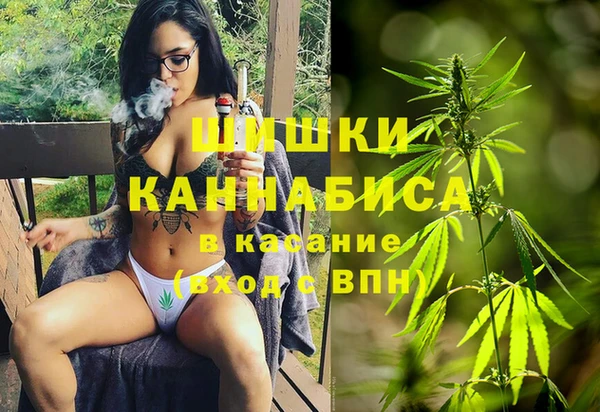 гашик Алзамай