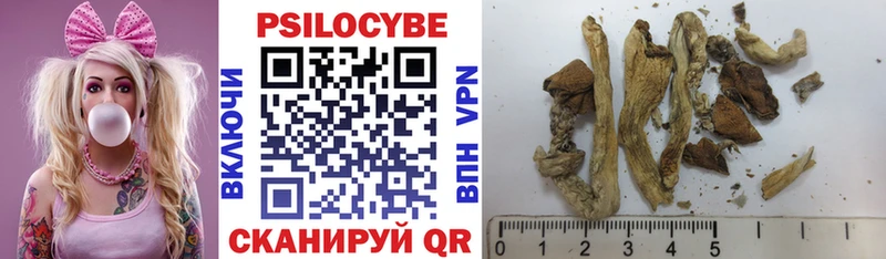 Псилоцибиновые грибы MAGIC MUSHROOMS  где купить наркотик  Чернушка 