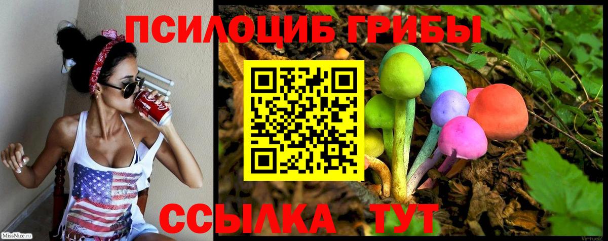 Псилоцибиновые грибы Psilocybe Чернушка