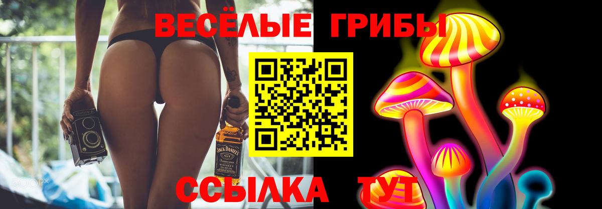 Чернушка  Псилоцибиновые грибы ЛСД  Вход с VPN 