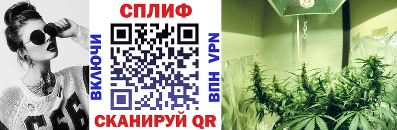 Каннабис VHQ  Чернушка 